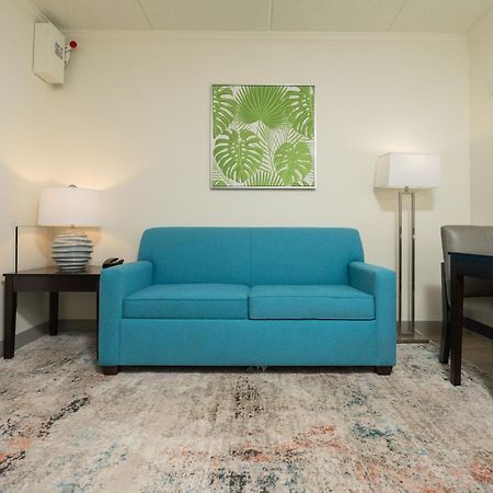 Oasis Bay Suites, Tampa, Busch Gardens, Usf Zewnętrze zdjęcie