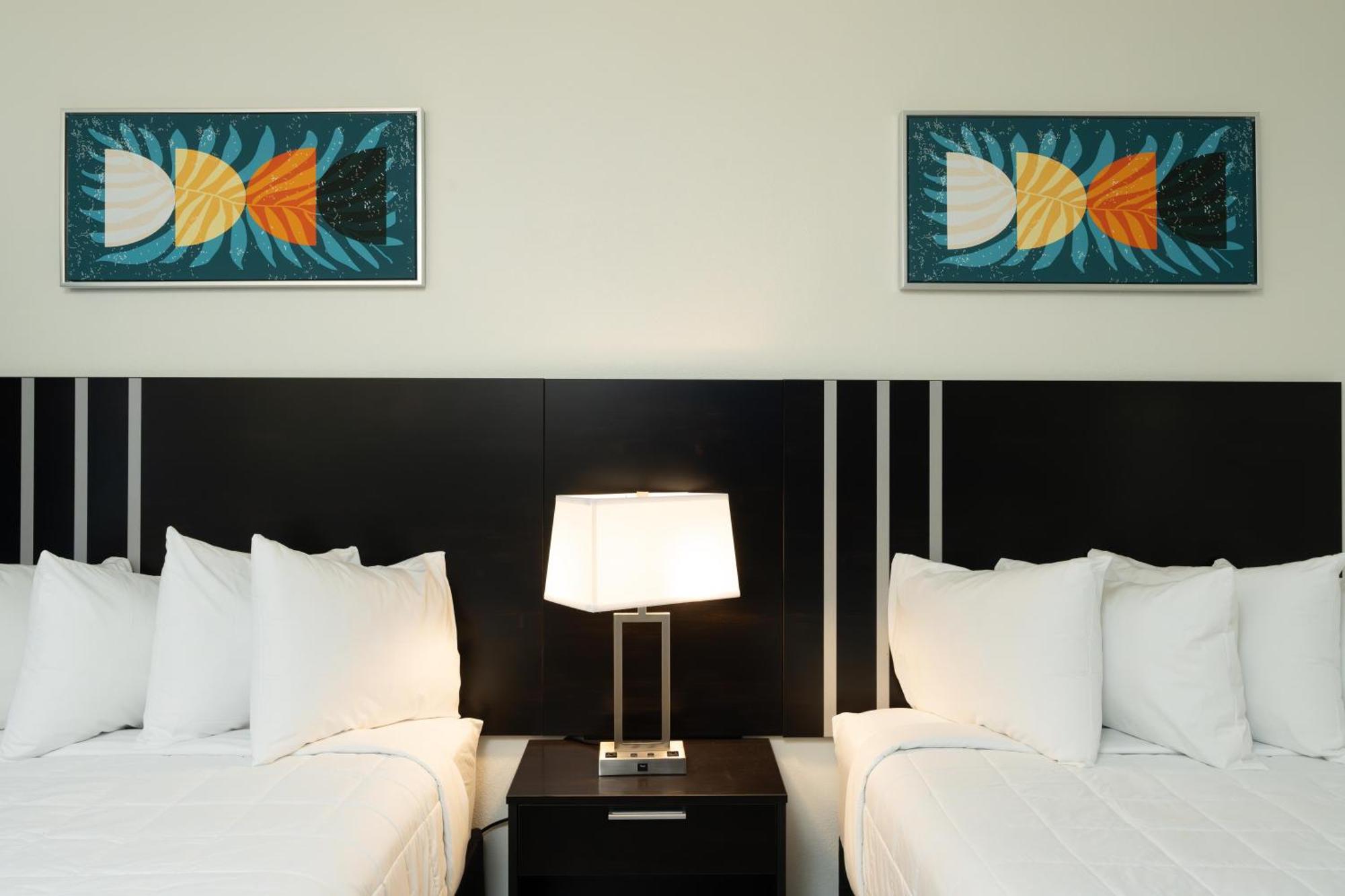 Oasis Bay Suites, Tampa, Busch Gardens, Usf Zewnętrze zdjęcie