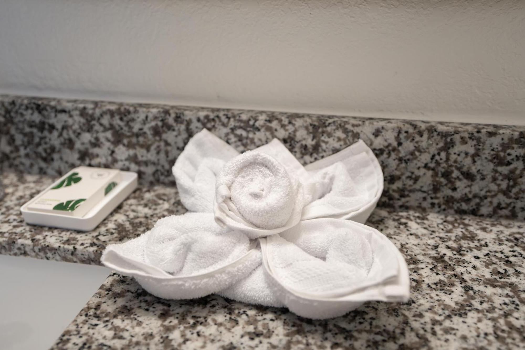 Oasis Bay Suites, Tampa, Busch Gardens, Usf Zewnętrze zdjęcie