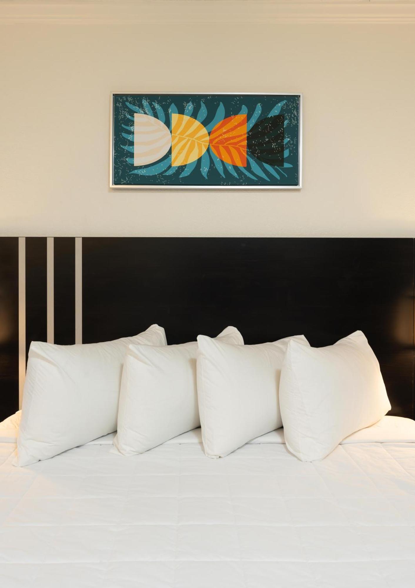 Oasis Bay Suites, Tampa, Busch Gardens, Usf Zewnętrze zdjęcie