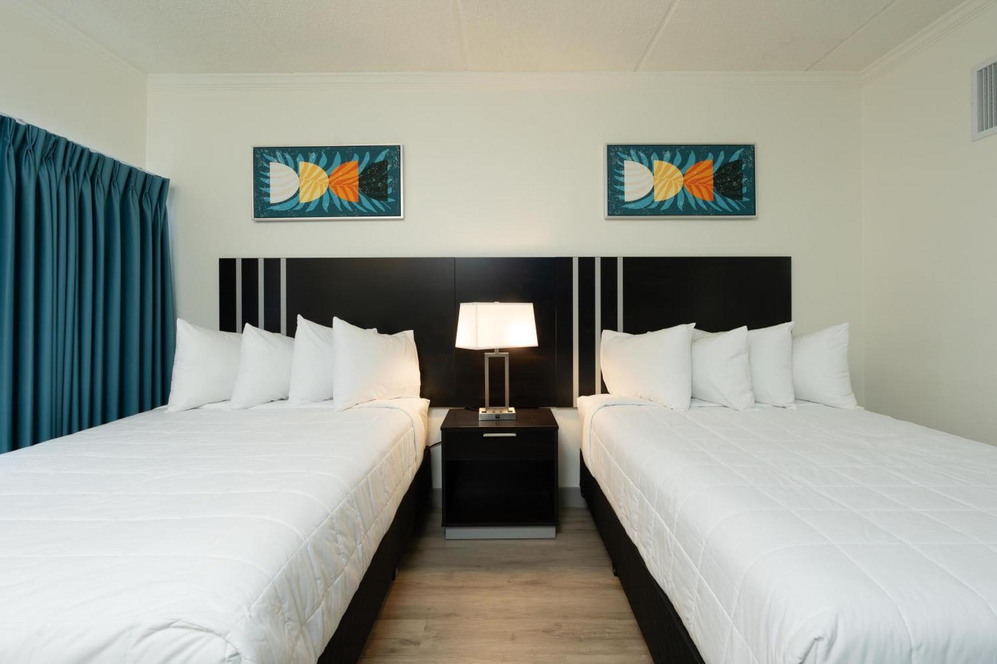 Oasis Bay Suites, Tampa, Busch Gardens, Usf Zewnętrze zdjęcie