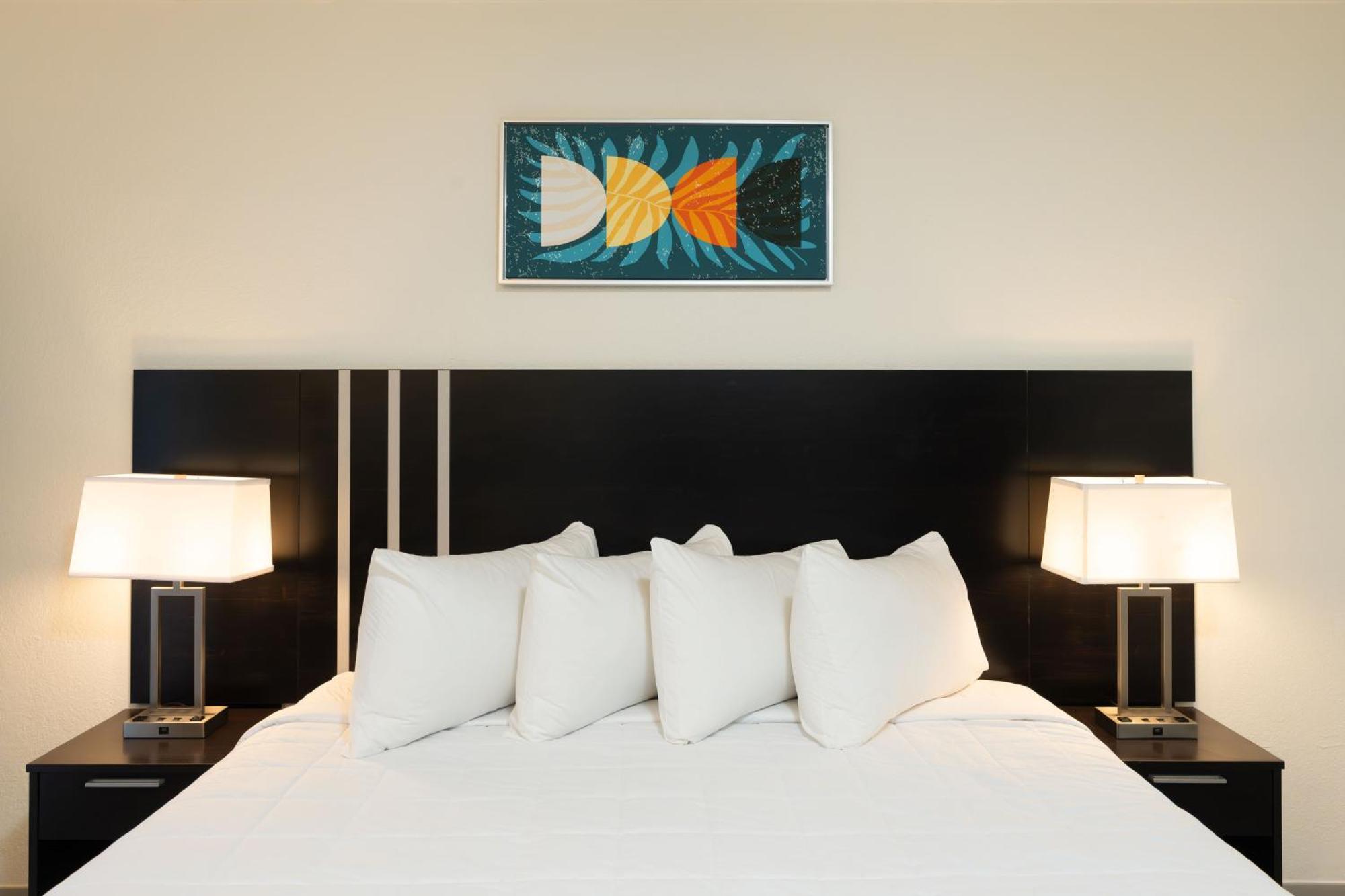 Oasis Bay Suites, Tampa, Busch Gardens, Usf Zewnętrze zdjęcie