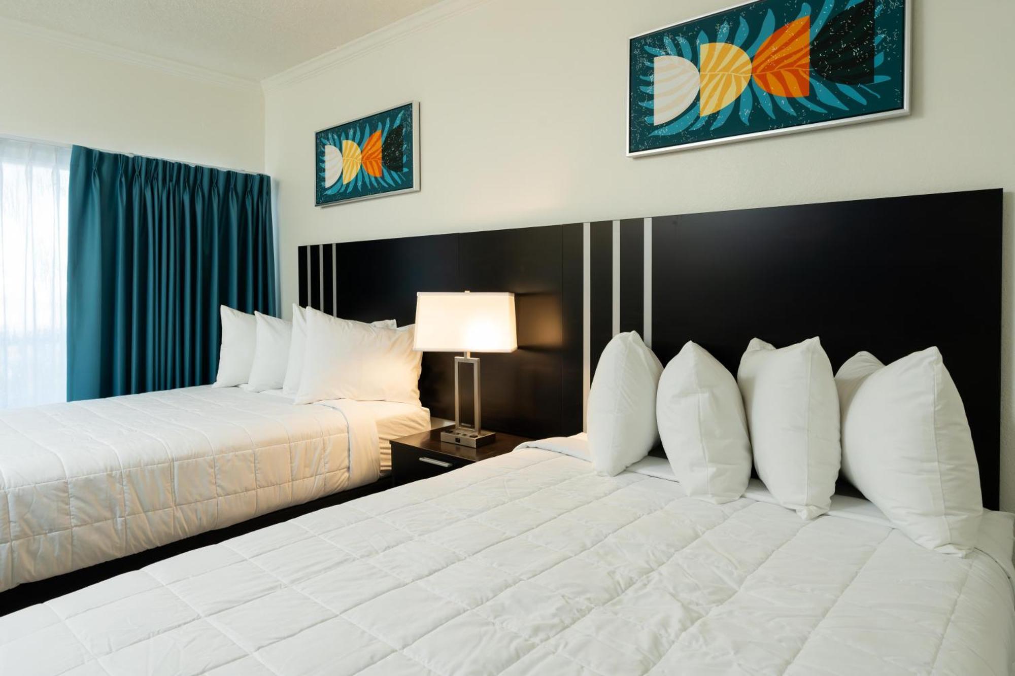 Oasis Bay Suites, Tampa, Busch Gardens, Usf Zewnętrze zdjęcie