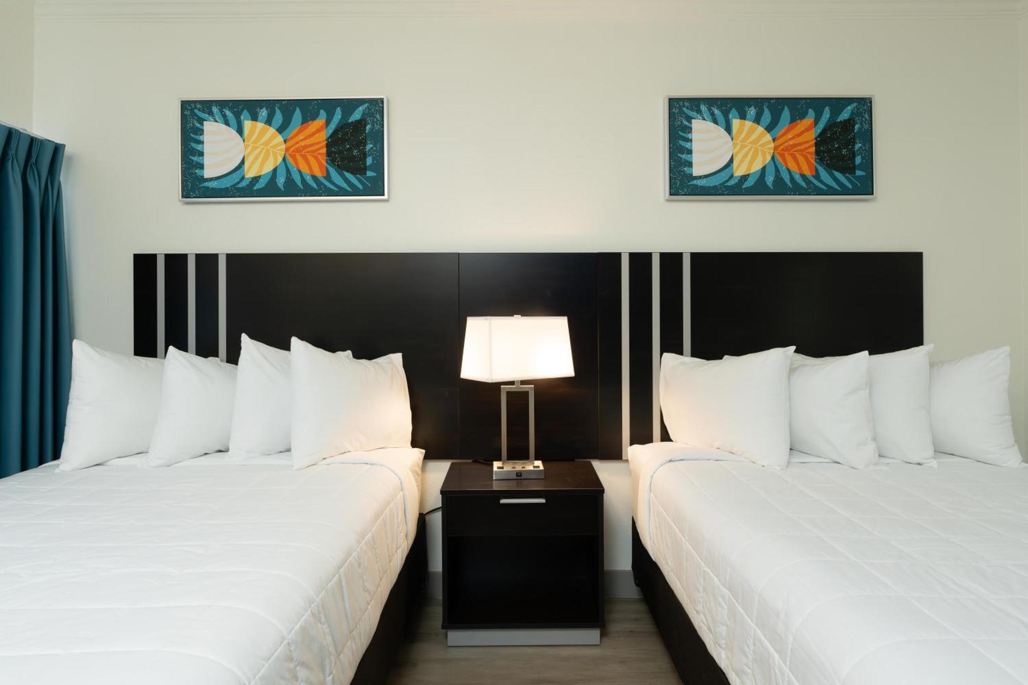 Oasis Bay Suites, Tampa, Busch Gardens, Usf Zewnętrze zdjęcie