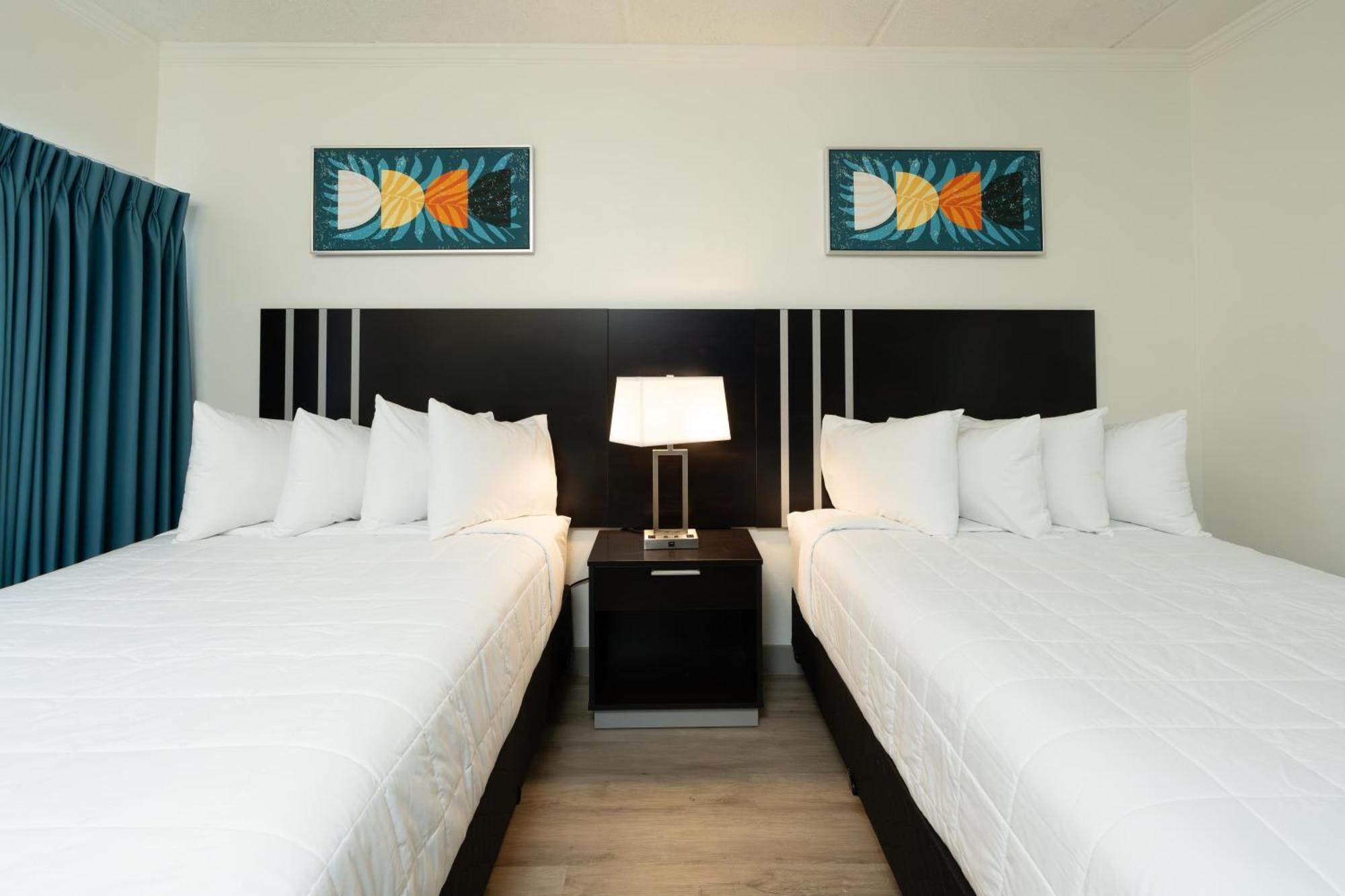 Oasis Bay Suites, Tampa, Busch Gardens, Usf Zewnętrze zdjęcie