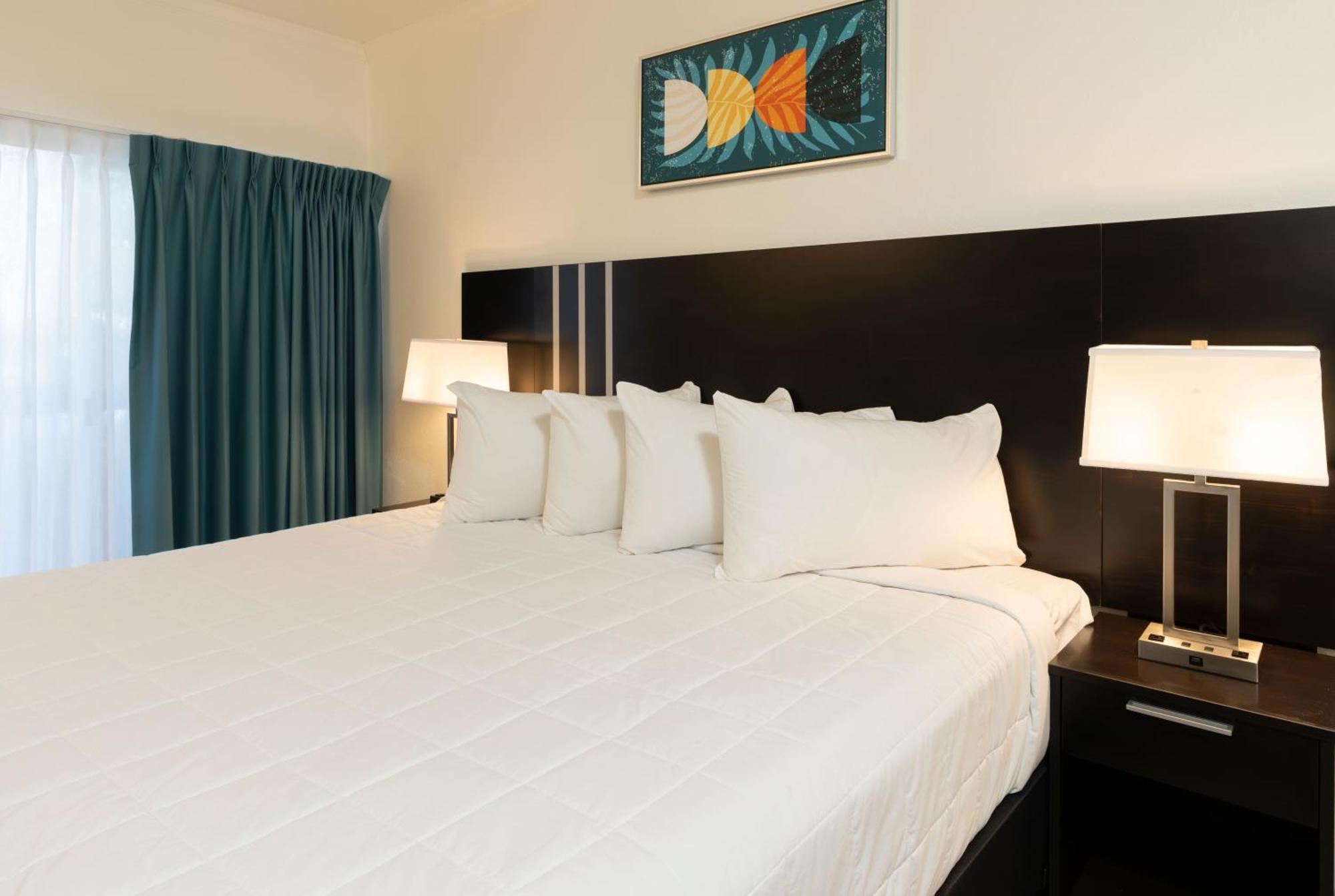 Oasis Bay Suites, Tampa, Busch Gardens, Usf Zewnętrze zdjęcie