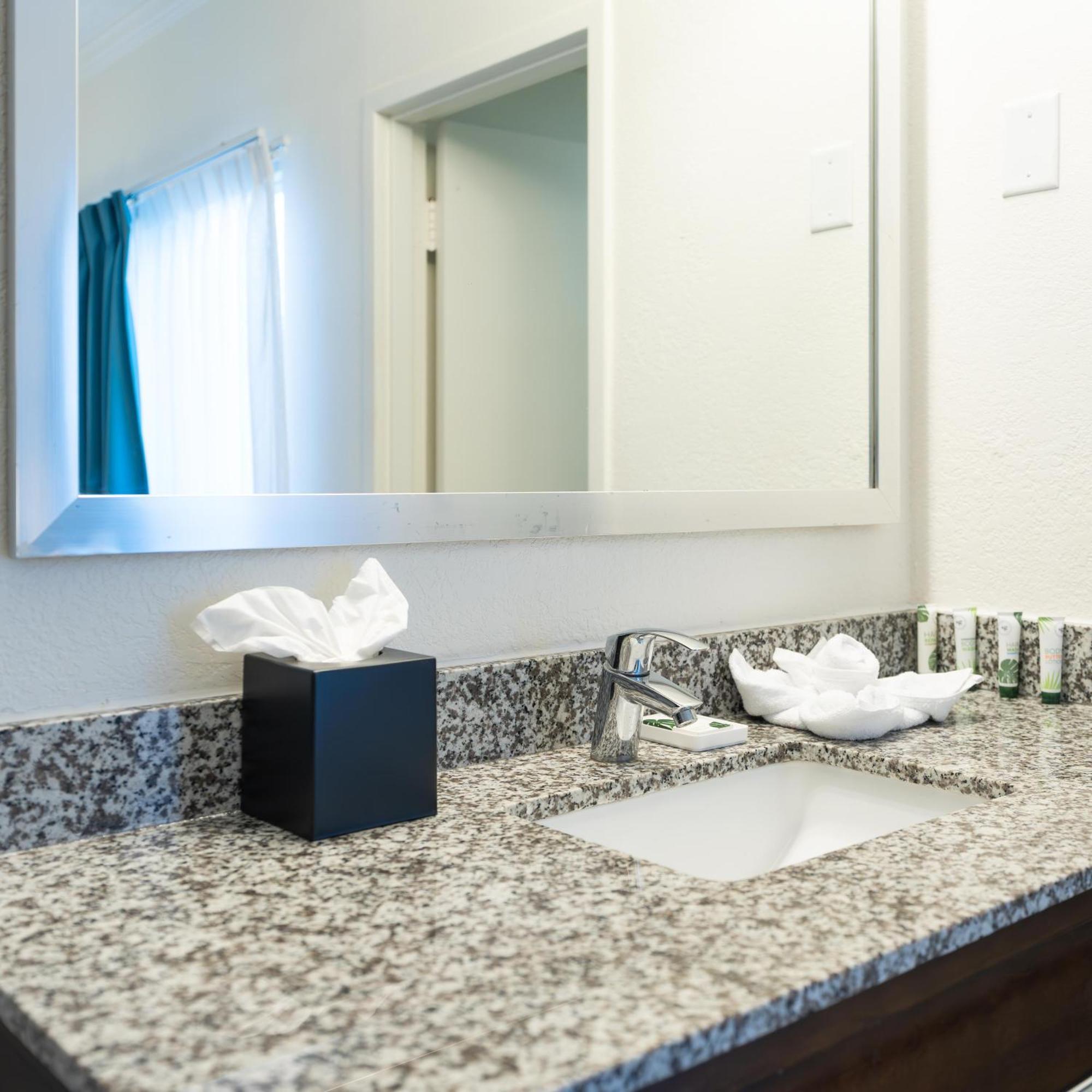 Oasis Bay Suites, Tampa, Busch Gardens, Usf Zewnętrze zdjęcie