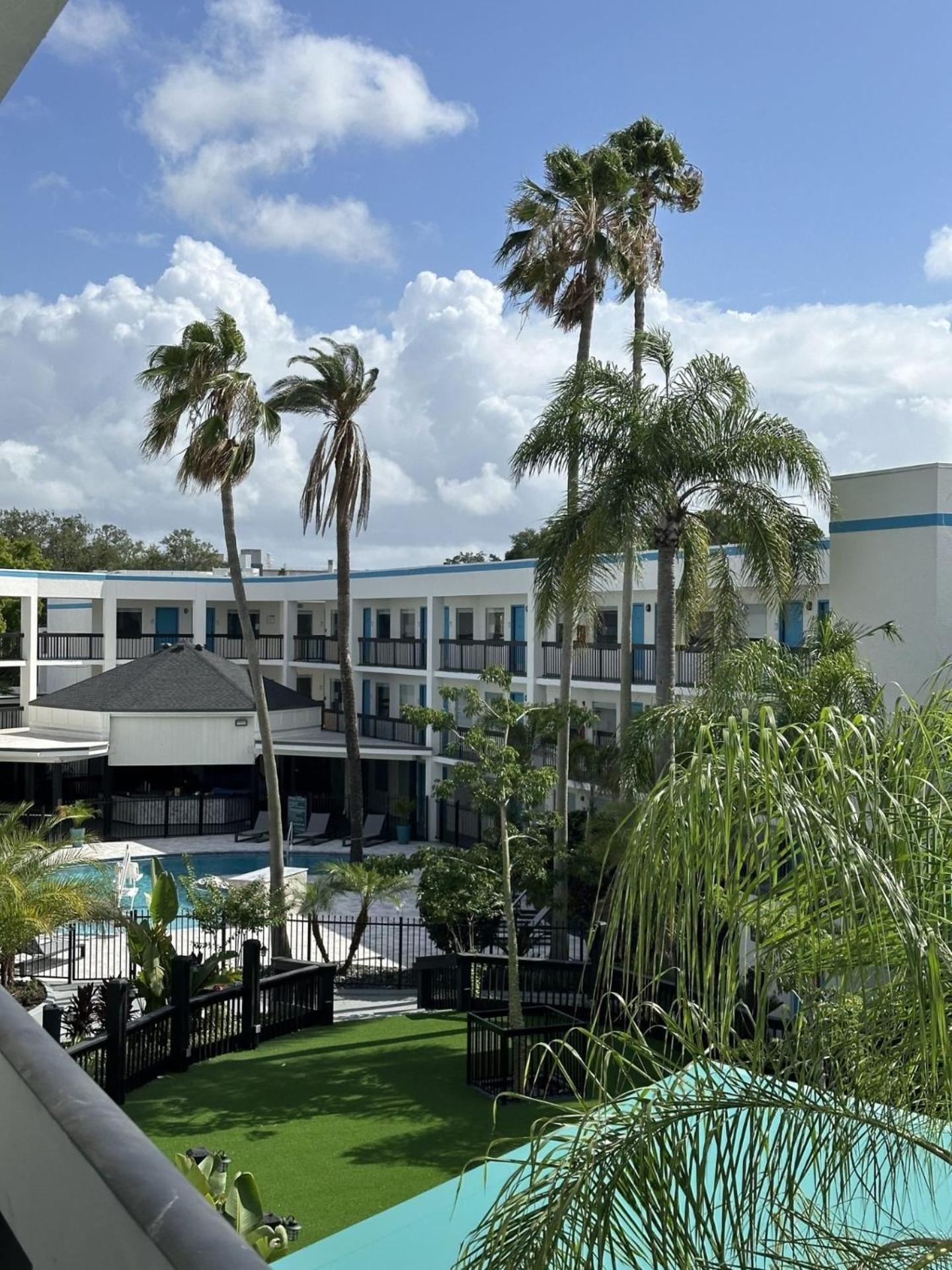 Oasis Bay Suites, Tampa, Busch Gardens, Usf Zewnętrze zdjęcie
